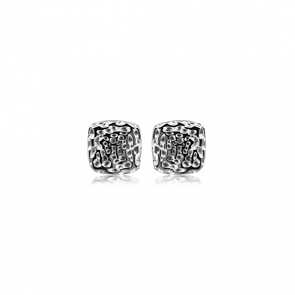 Earrings in Silver 925