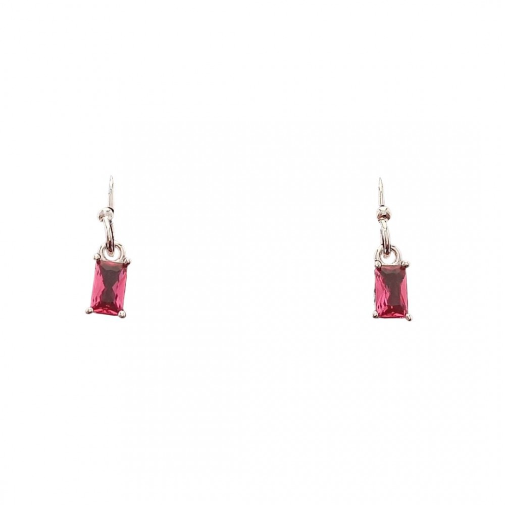 Earrings in Silver 925