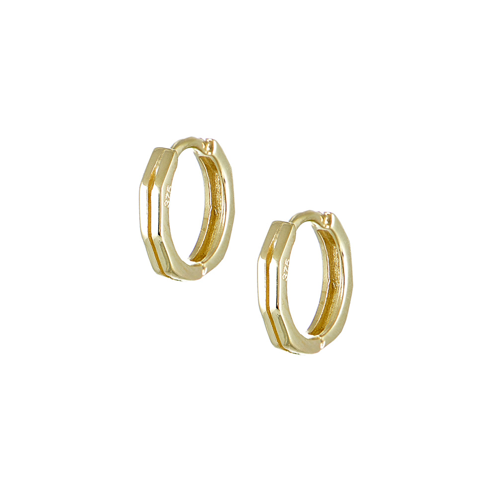 Huggie Earrings in Gold 9K